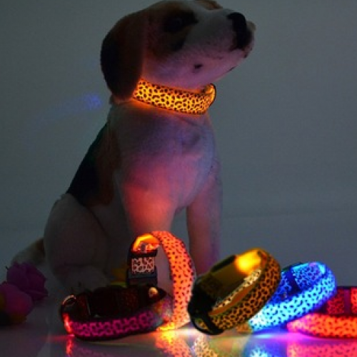 Luminous Pet Led Glow Flashing LED Collar Leopard